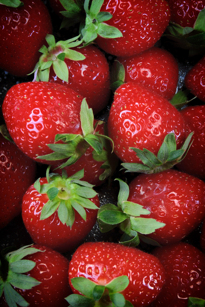 selective,focus.,fresh,juicy,strawberries.,glossy,strawberries.