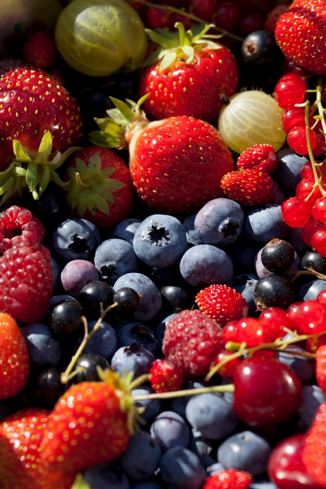 garden,fruit ,strawberry,,raspberry,,blueberry,,backcurrant,,alpine,strawberry,and,gooseberry