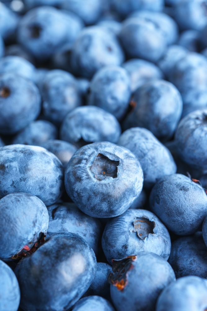 fresh,raw,organic,blueberries,background,close,up.,macro,texture,of